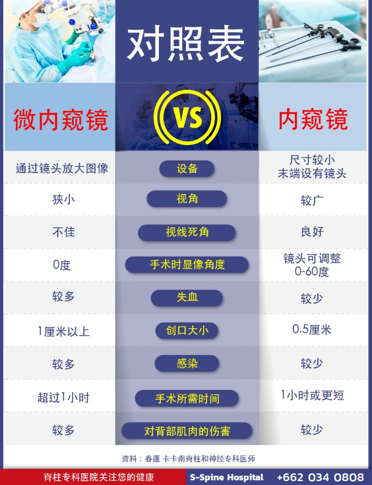 a¸ a¸ a¸ a¸§a¸²a¸¡ website a¸ a¸ a¸²a¸ 1280x720a¸ a¸ a¸²a¸ a¸ a¸²a¸a¸²a¸ a¹ a¸ a¸a¸µa¸¢a¸ a¹ a¸ a¸µa¸¢a¸ micro vs endo 01 768x1000